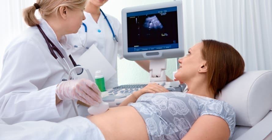Morfologia de trimestru intai – de ce este importanta