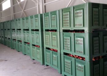 Boxpaletii din plastic – avantajele utilizarii lor in industria alimentara