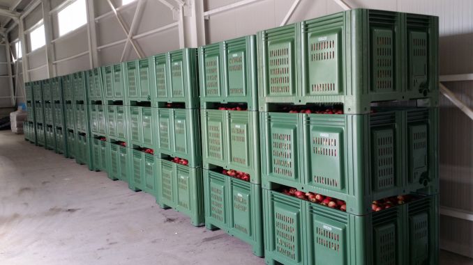 Boxpaletii din plastic – avantajele utilizarii lor in industria alimentara