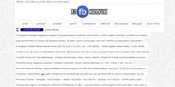 Oportunitati de munca in Tarile de Jos (Olanda): un ghid pentru romani