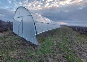 De la plan la realitate: cum a reușit un cuplu să își creeze propria oază verde cu ajutorul unui solar de grădină de la solarii-izosun.ro