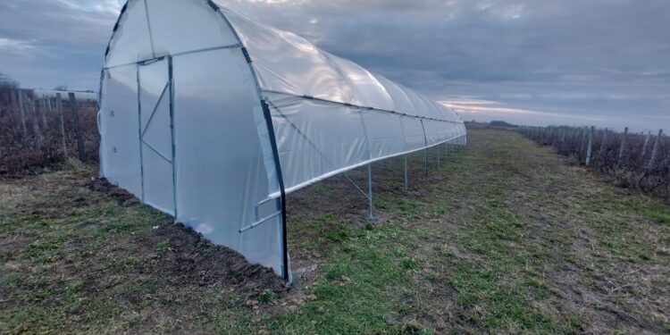 De la plan la realitate: cum a reușit un cuplu să își creeze propria oază verde cu ajutorul unui solar de grădină de la solarii-izosun.ro