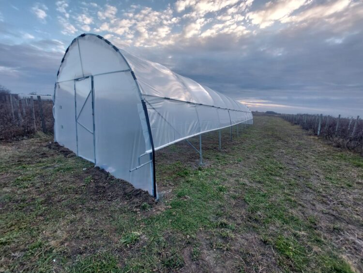 De la plan la realitate: cum a reușit un cuplu să își creeze propria oază verde cu ajutorul unui solar de grădină de la solarii-izosun.ro