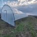 De la plan la realitate: cum a reușit un cuplu să își creeze propria oază verde cu ajutorul unui solar de grădină de la solarii-izosun.ro